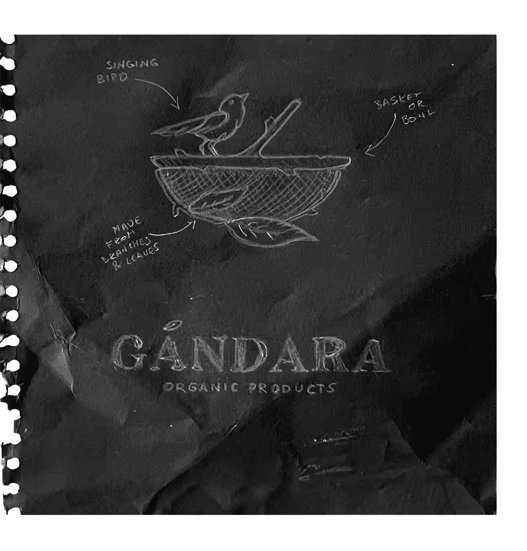 Gandara_casestudy_sketch